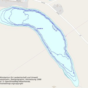 Tiefenkarte des Schwandter Sees Tiefenkarte